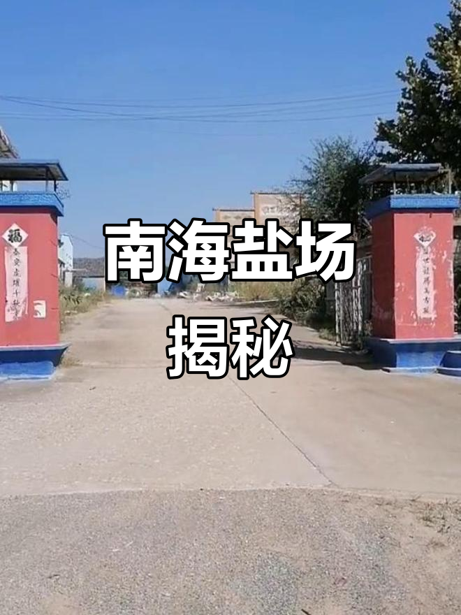 莱阳南海盐场:探秘海盐制作工艺