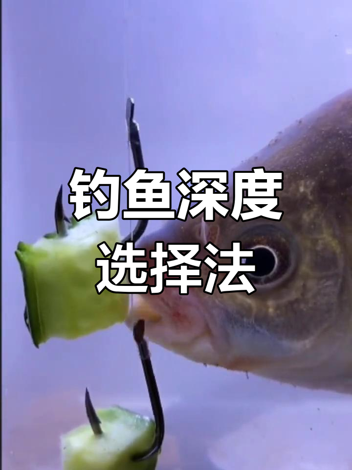 钓鱼技巧:七浅七深口诀解析