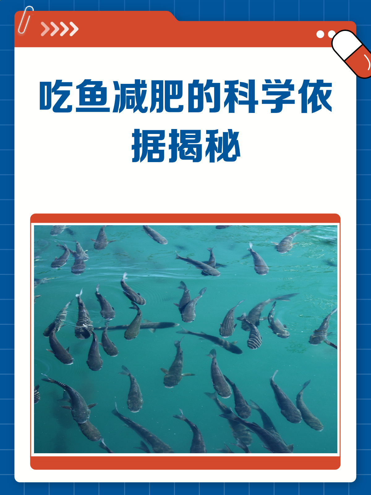 吃鱼真的能减肥吗?揭秘鱼肉的瘦身秘密!