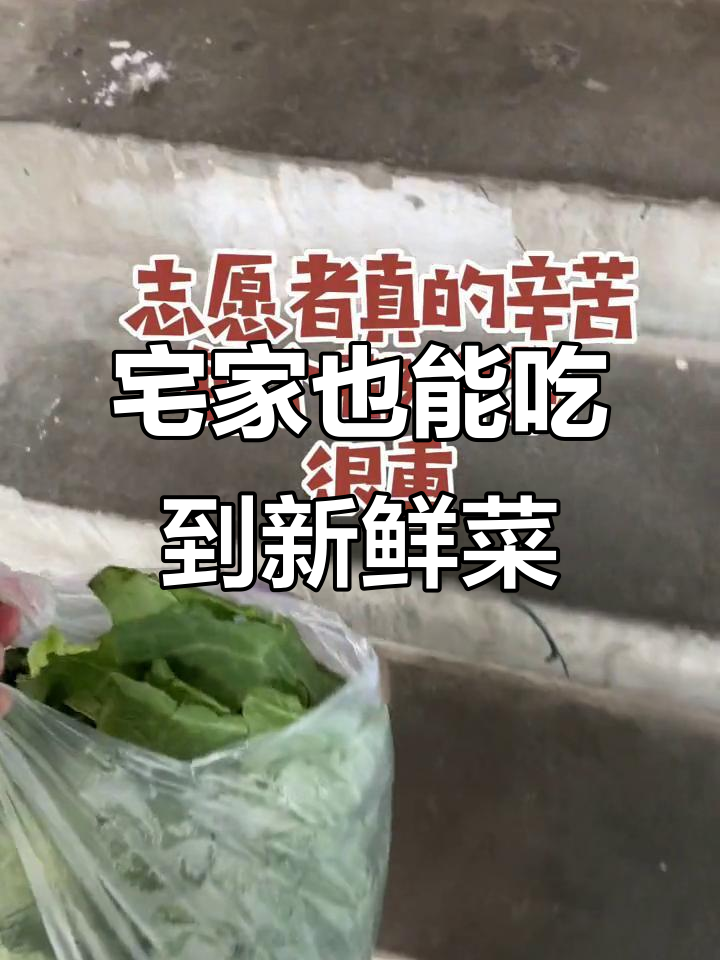 上海蔬菜大礼包开箱,看看都有些啥惊喜!