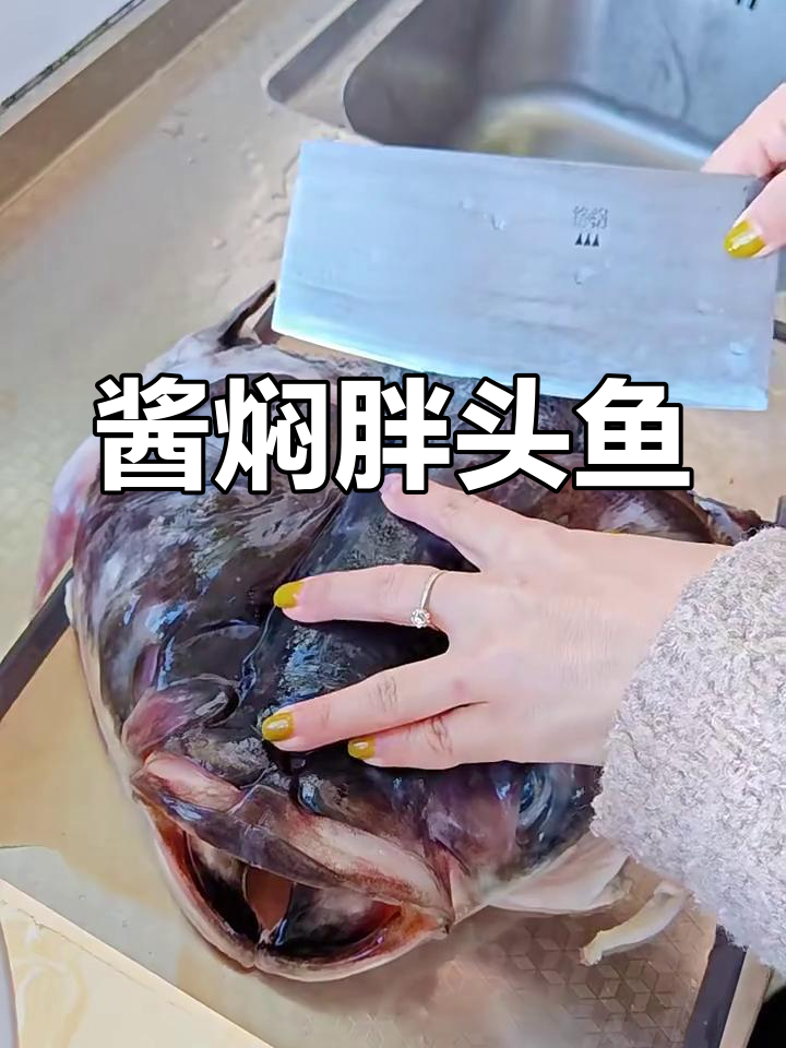 酱焖胖头鱼,鲜香十足让人无法抗拒