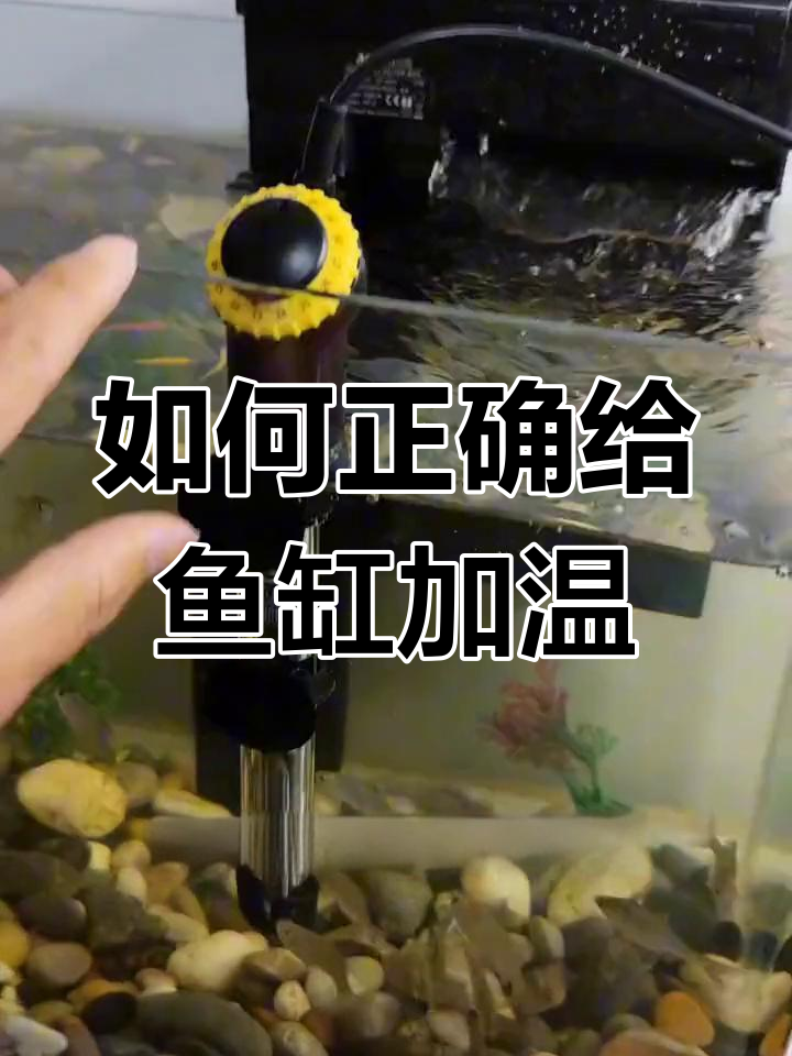 鱼缸加热棒的正确使用方法