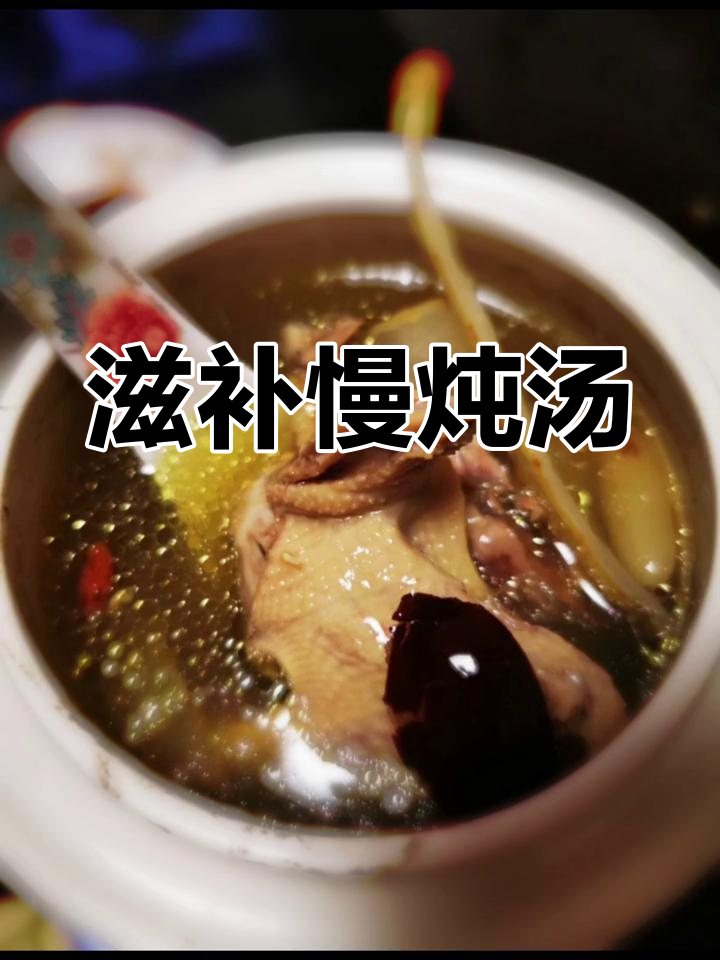 隔水慢炖6小时,鸽子汤滋补又美味,搭配多种药材