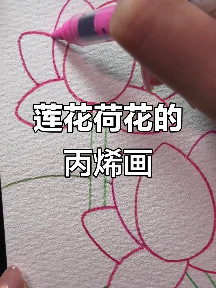 莲花与荷花大比拼,丙烯马克笔下的美丽绽放