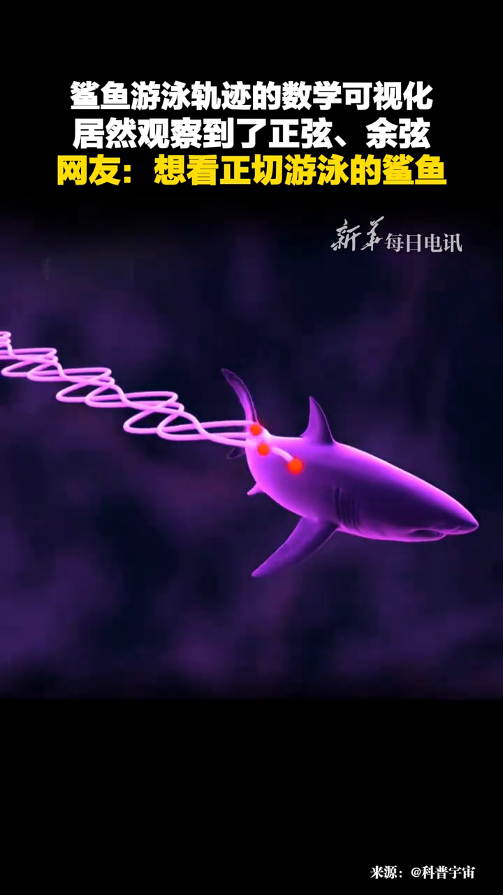 鲨鱼游泳轨迹的数学可视化,居然观察到了正弦、余弦