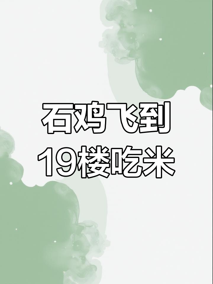 野生石鸡飞上19层觅食,喂大米后清晨离去