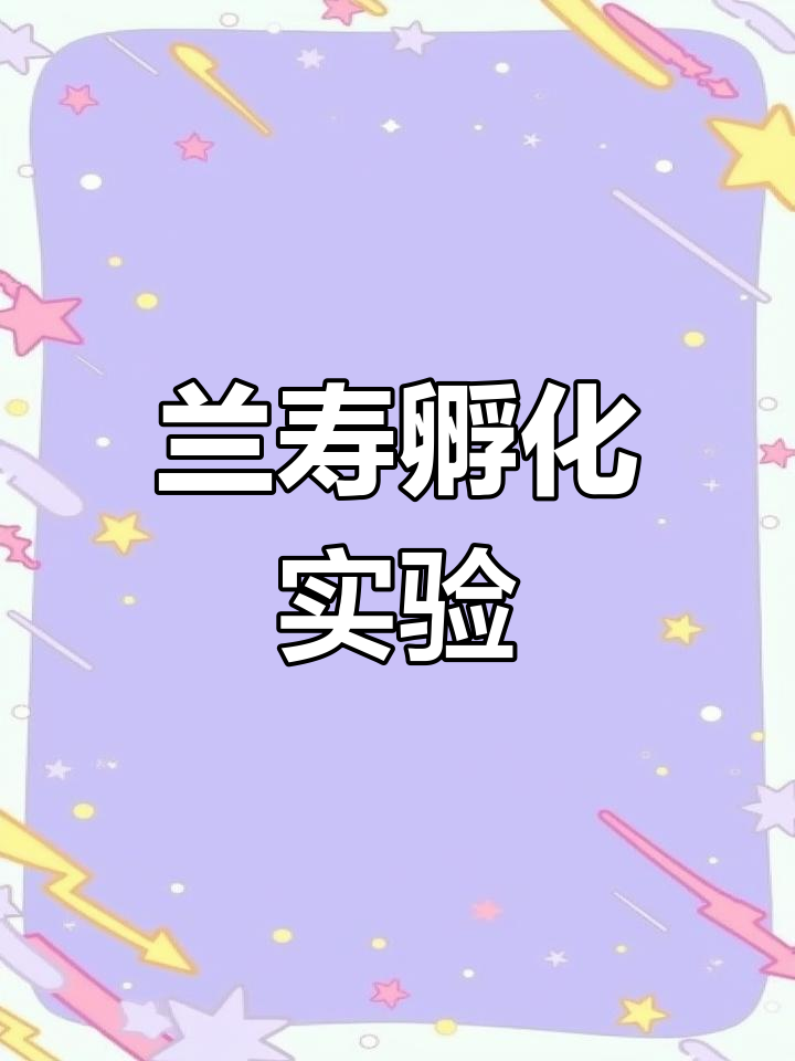蓝瘦种鱼人工孵化全过程,48小时看能否成功受精