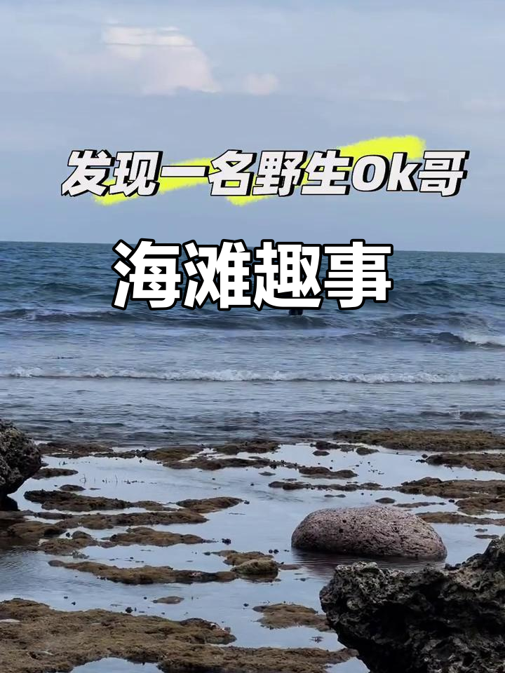 三亚玻璃海,赶海乐趣无穷,贝壳多鱼难捉
