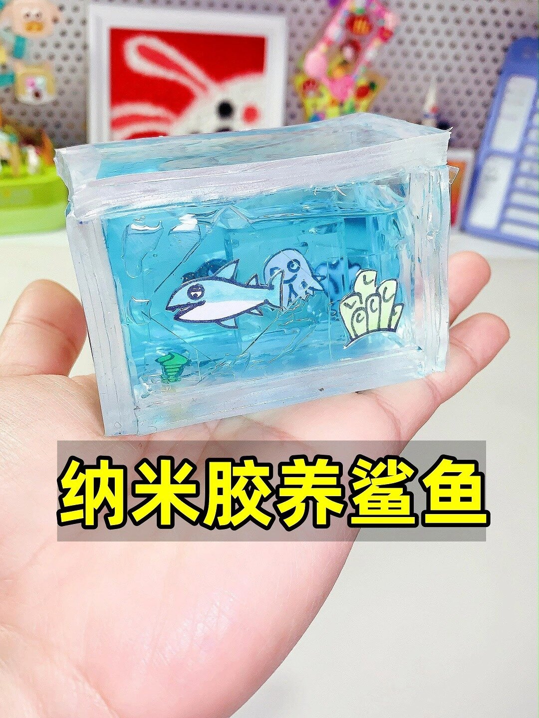 迷你鱼缸养鲨鱼