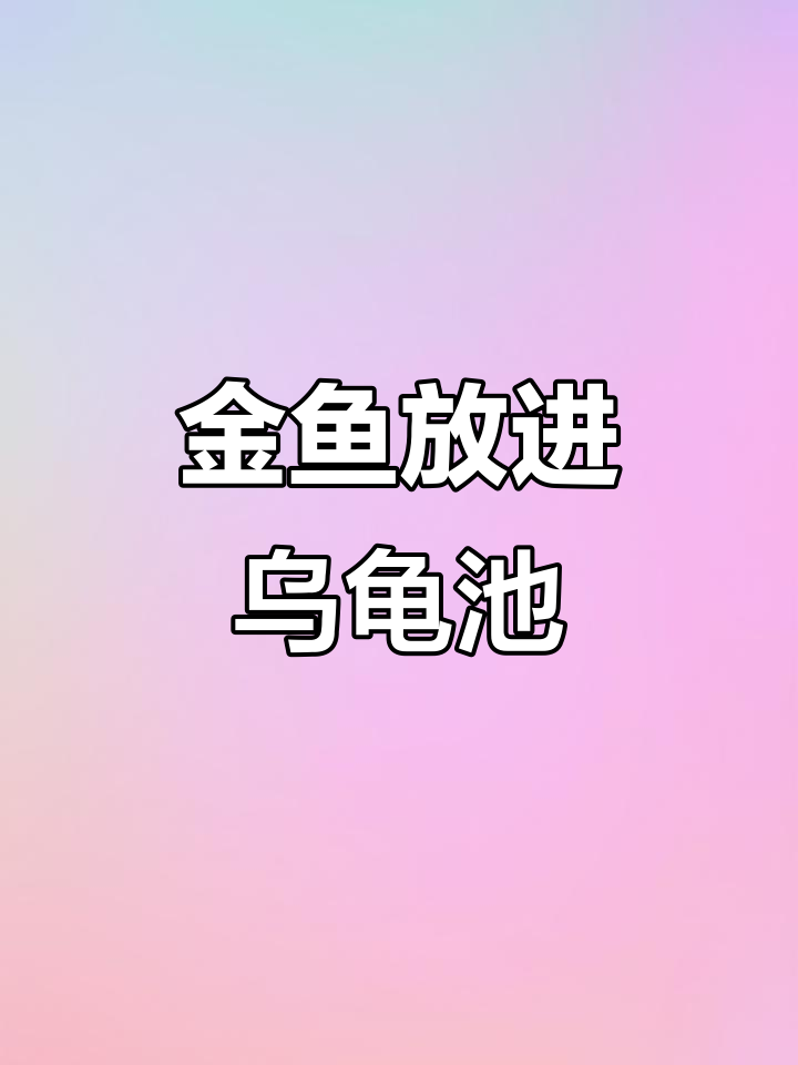 乌龟池里放金鱼，能活下来吗？小草金挑战生存极限