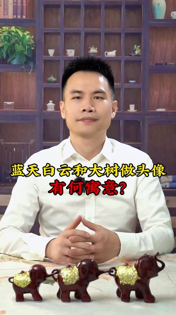 蓝天白云和大树做头像有何寓意?