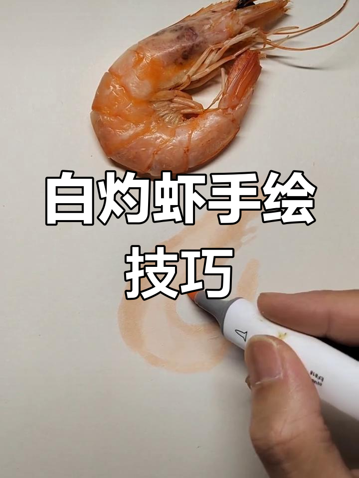 过年必备白灼虾画法教程