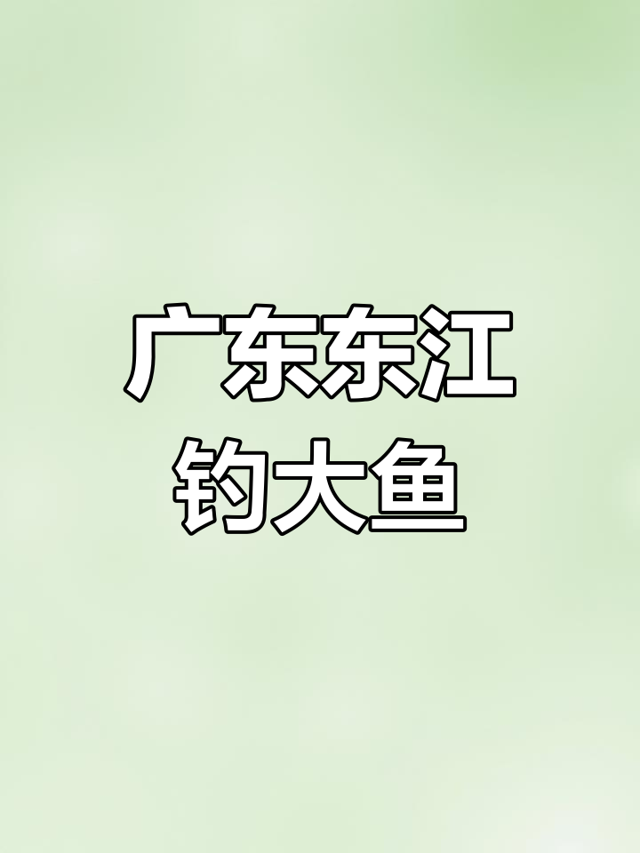 东江大鲤鱼与巨鲢狂潮,钓鱼点推荐!