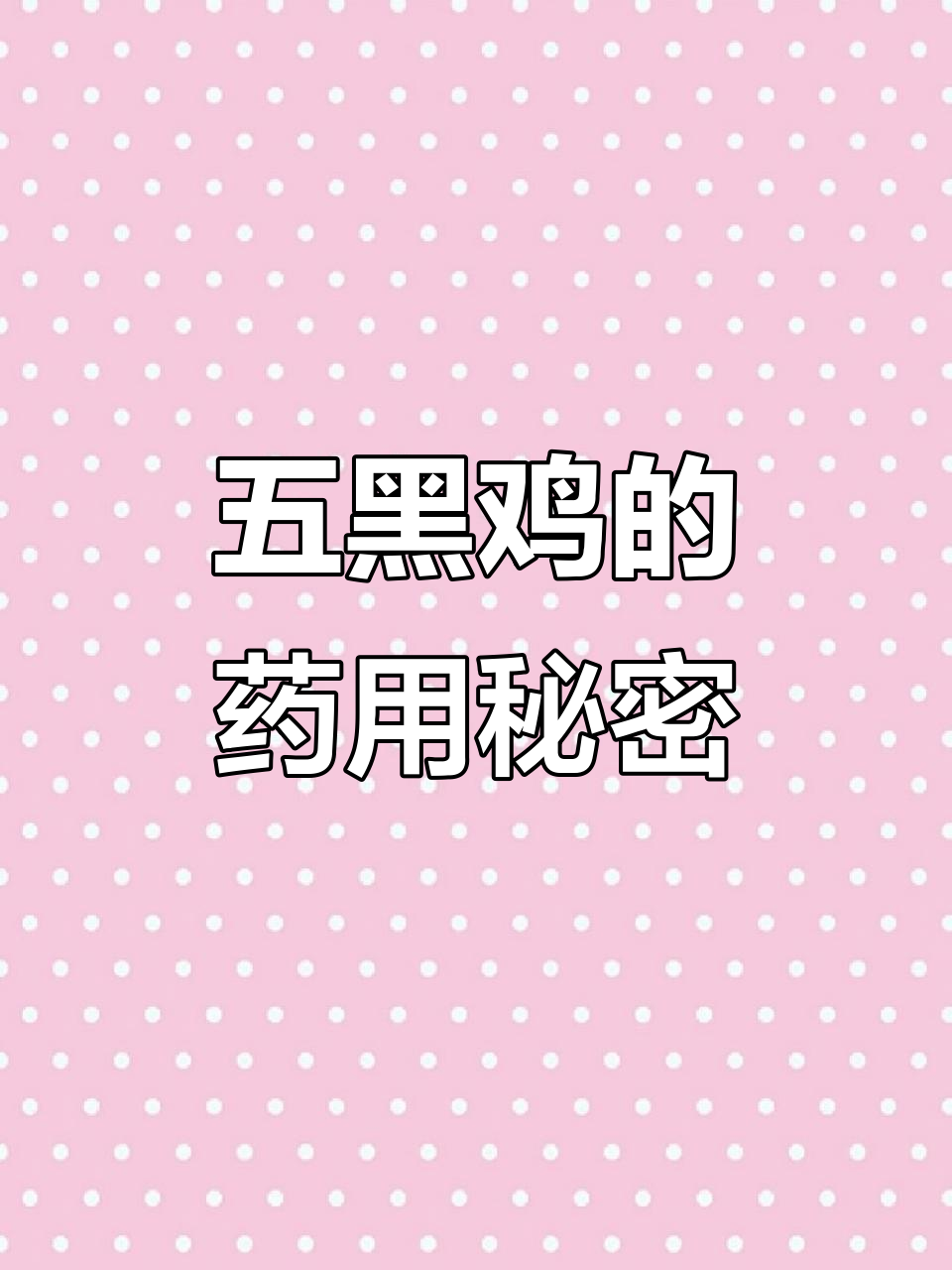 五黑鸡，全身乌黑，药用价值极高！