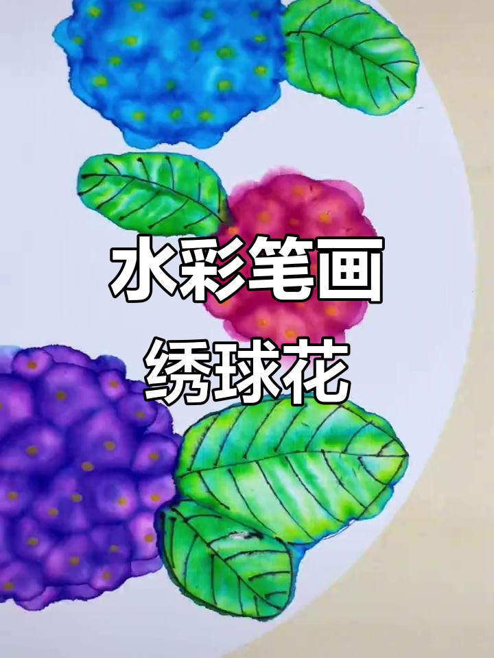 用水彩笔晕染画绣球花,简单又好看