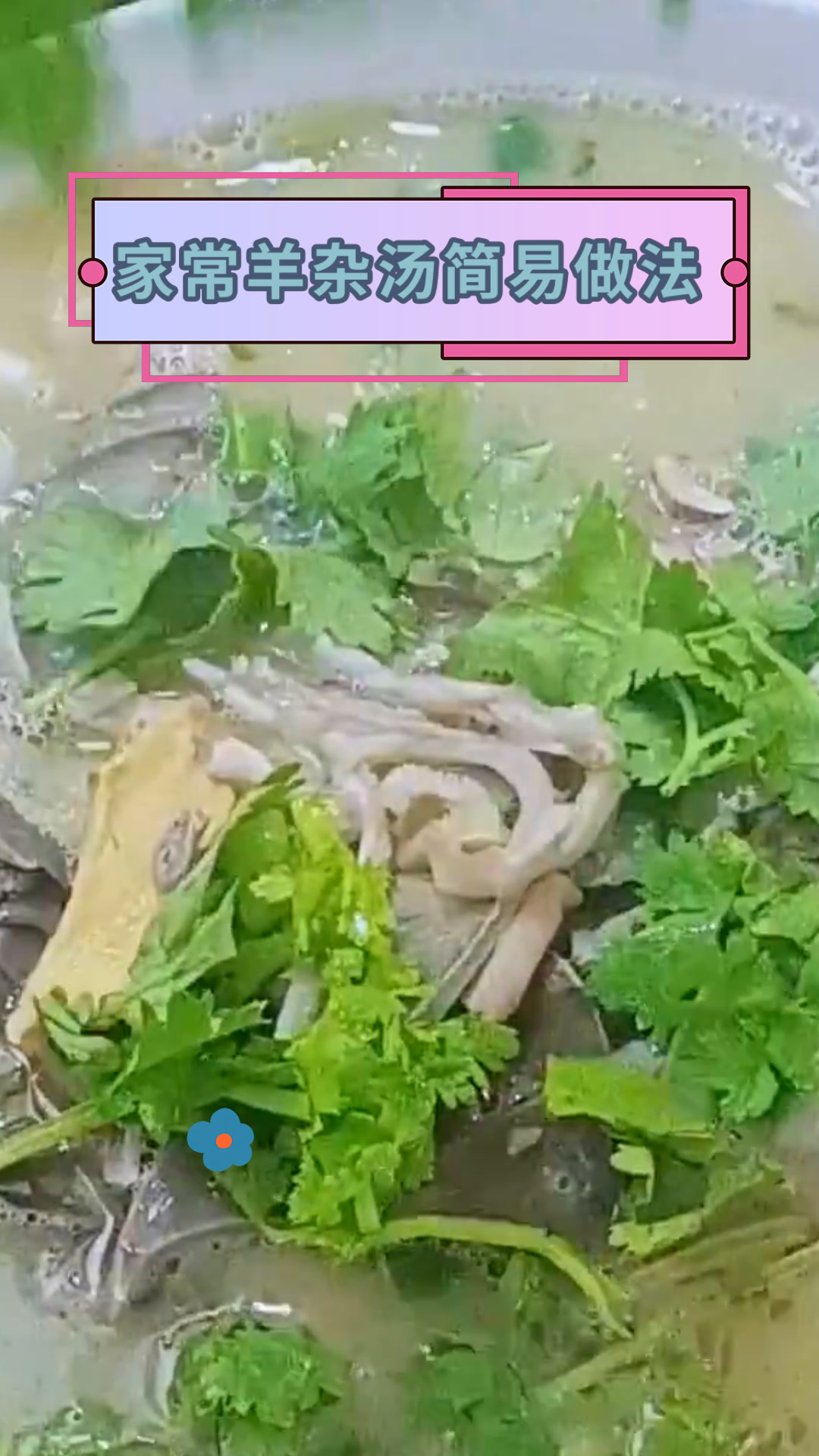 家常羊杂汤简易做法