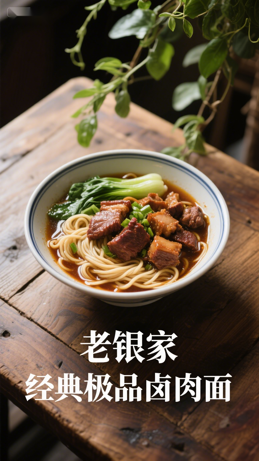 老银家,经典极品卤肉面