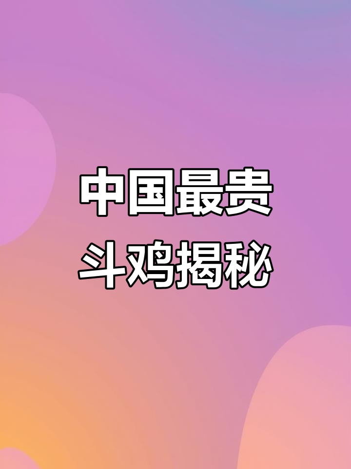 河南斗鸡为何能卖高价?从五千到百万,背后真相揭秘