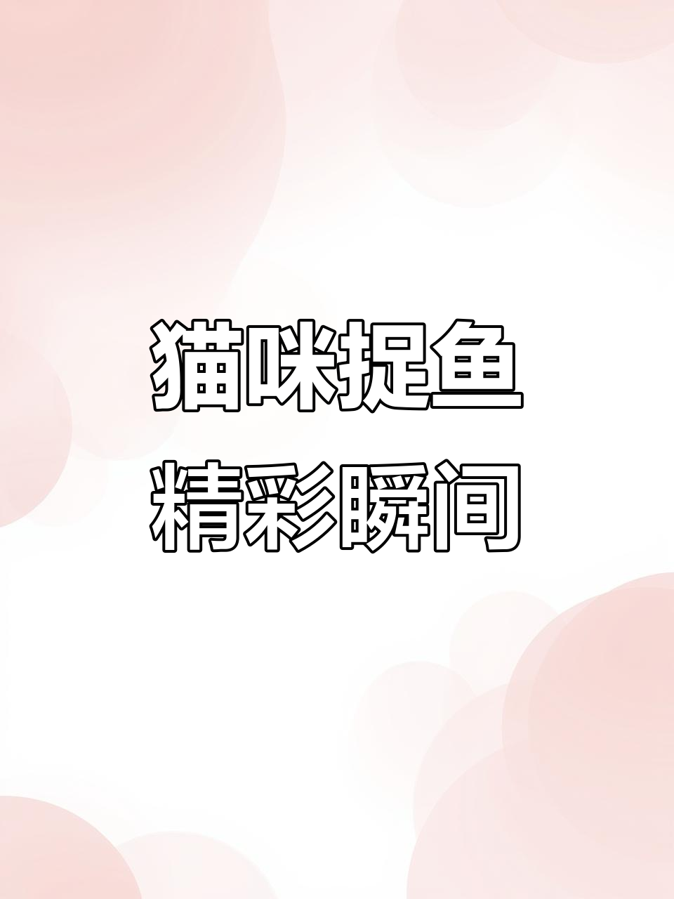 猫咪抓鱼大比拼,谁才是真正的捕鱼大师?