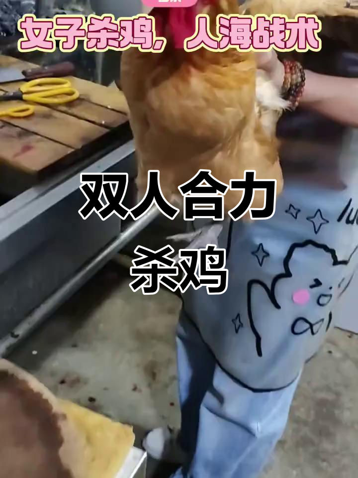杀鸡也能合作,两人联手轻松应对大个儿!