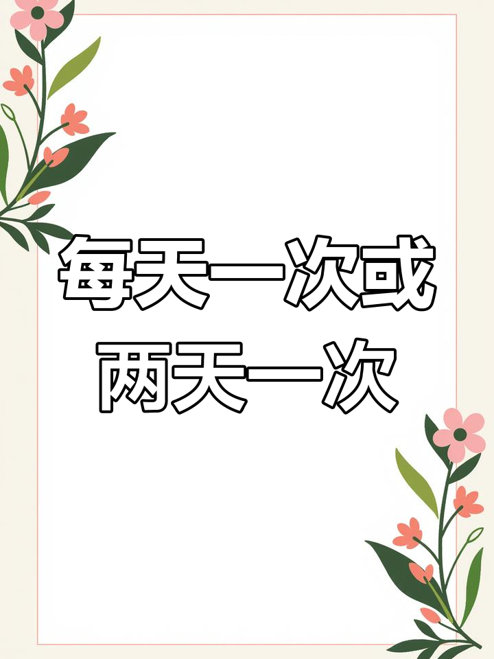 六角恐龙鱼喂食频率解析
