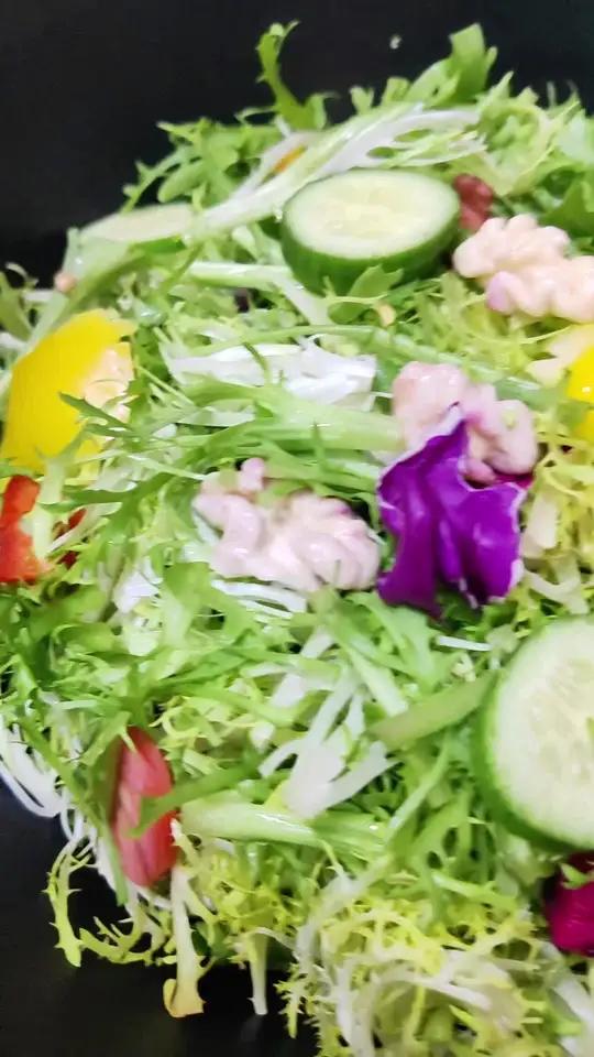 时蔬大拌菜