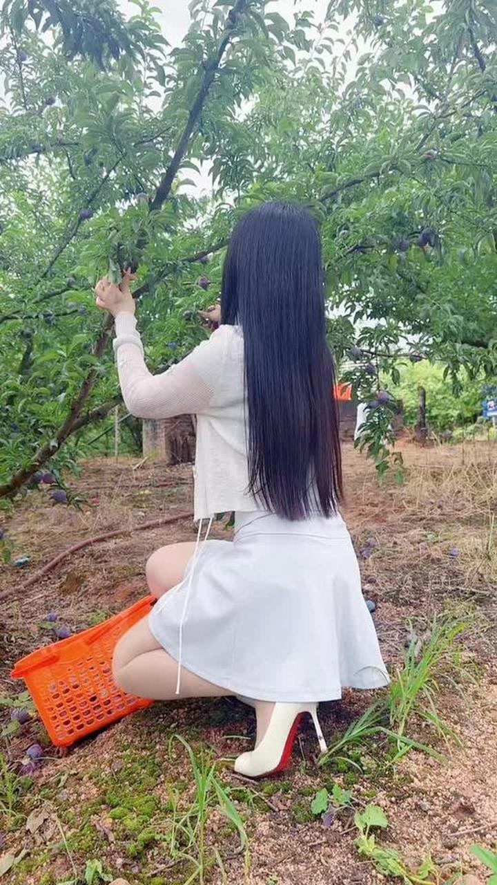 在乡下吃农家做的菜，肚子都吃得圆滚滚大了