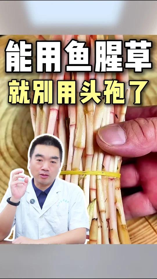 能用鱼腥草,我绝对不用头孢