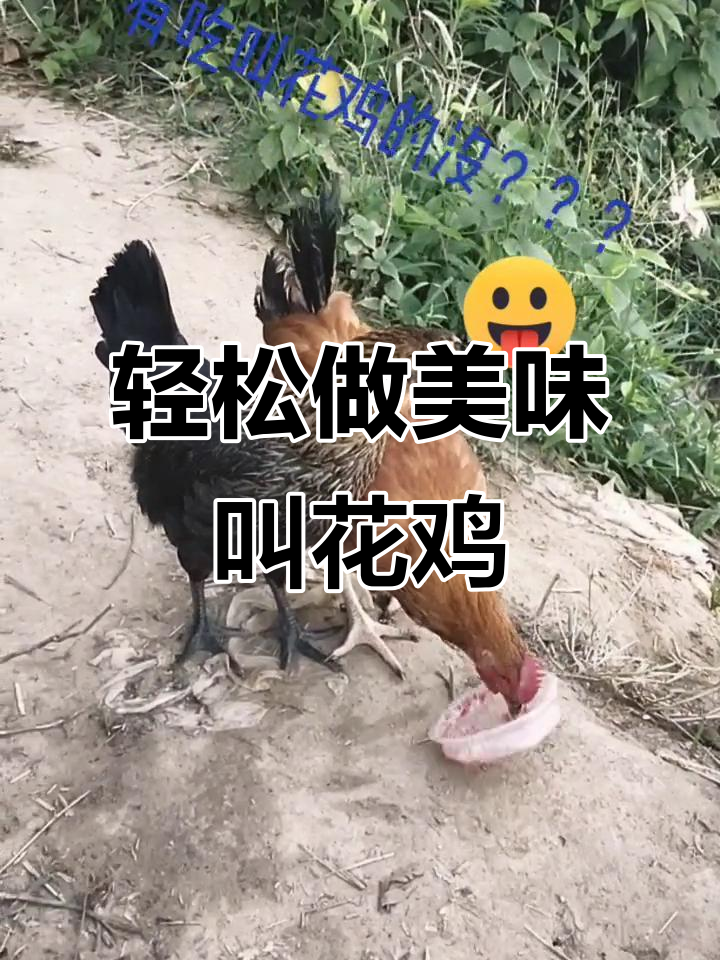 三步学会烤叫花鸡,嫩滑又入味