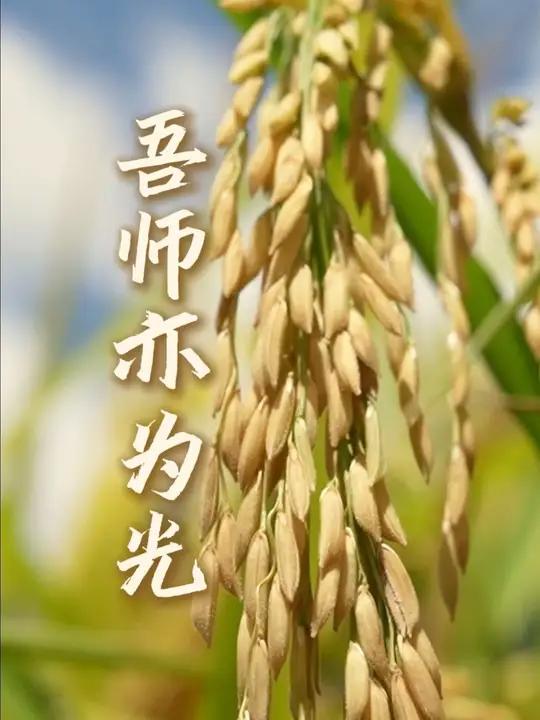 吾师亦为光!祝老师们节日快乐!感恩每一位师者!祝老师们节日快乐教师节 来源:遵义融媒 绥阳