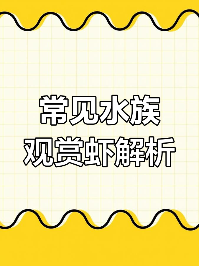 水族观赏虾的起源与变异:从水晶虾到五颜六色的宠物虾