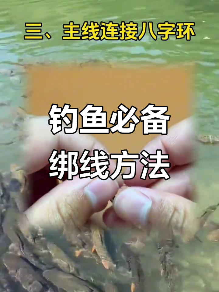 新手必学！全套鱼线绑法与钩子技巧，快速上手
