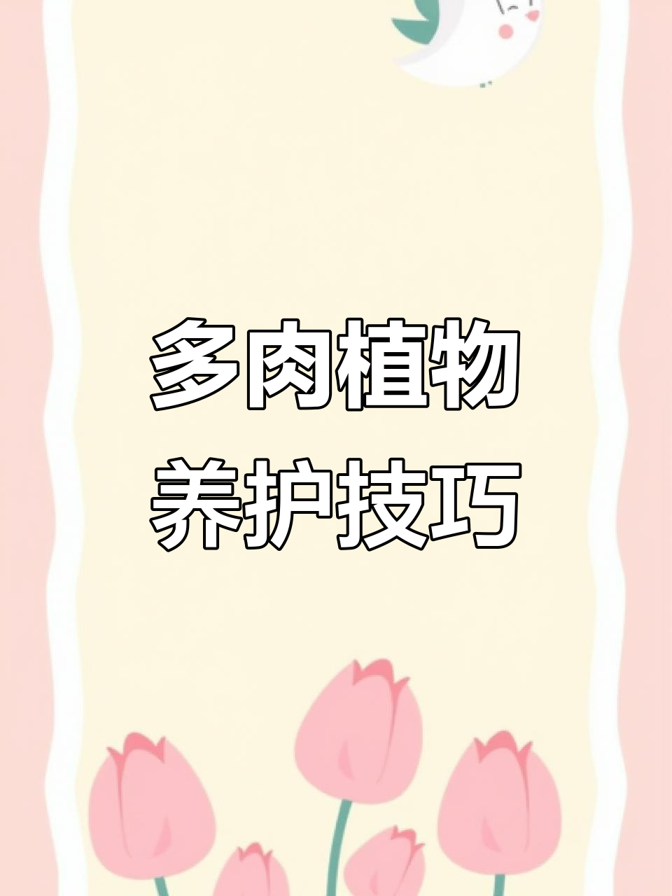 露养多肉大红袍，庭院生活必备