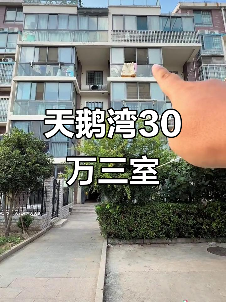 三角洲旁天鹅湾三室，三十多万买边户南北通户型