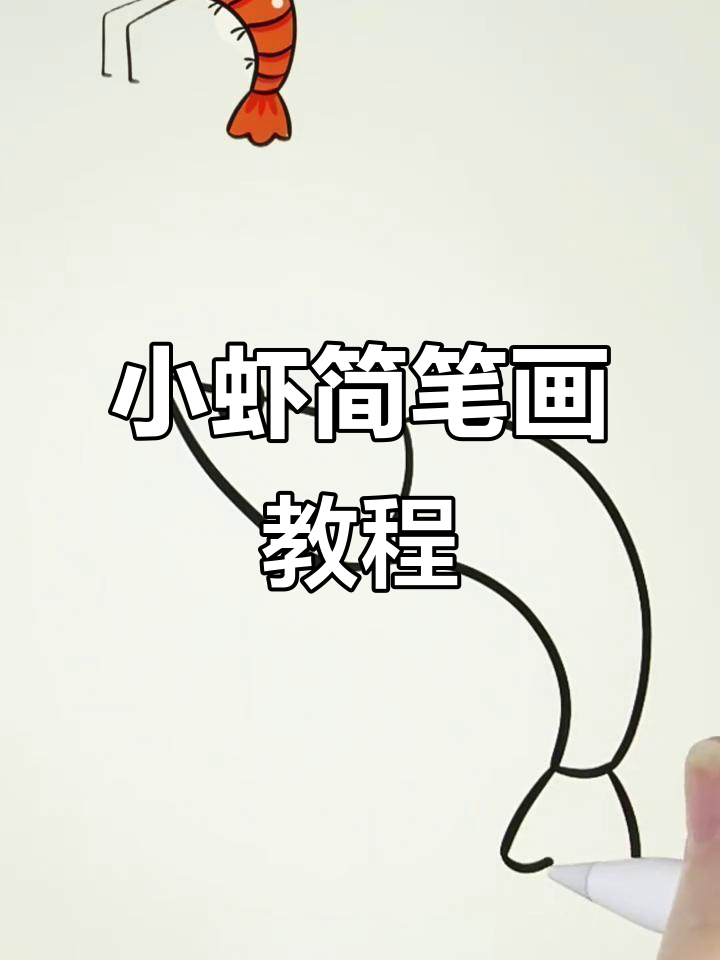 轻松学画可爱小虾，简单步骤教你画出栩栩如生的形象