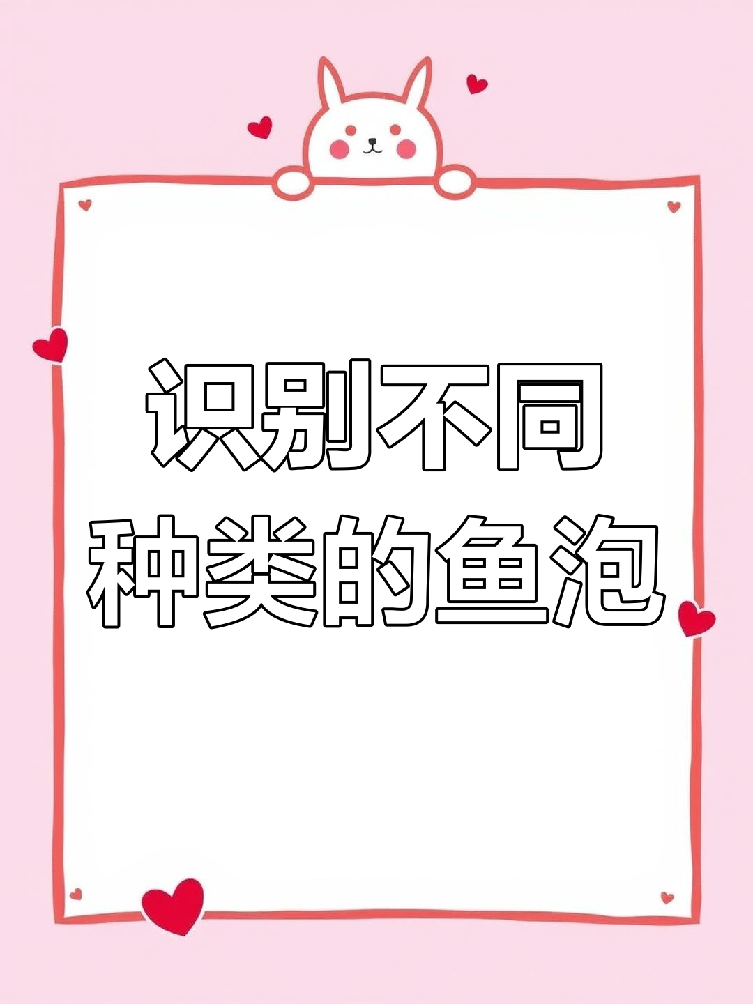 如何通过鱼泡判断鱼儿种类与位置