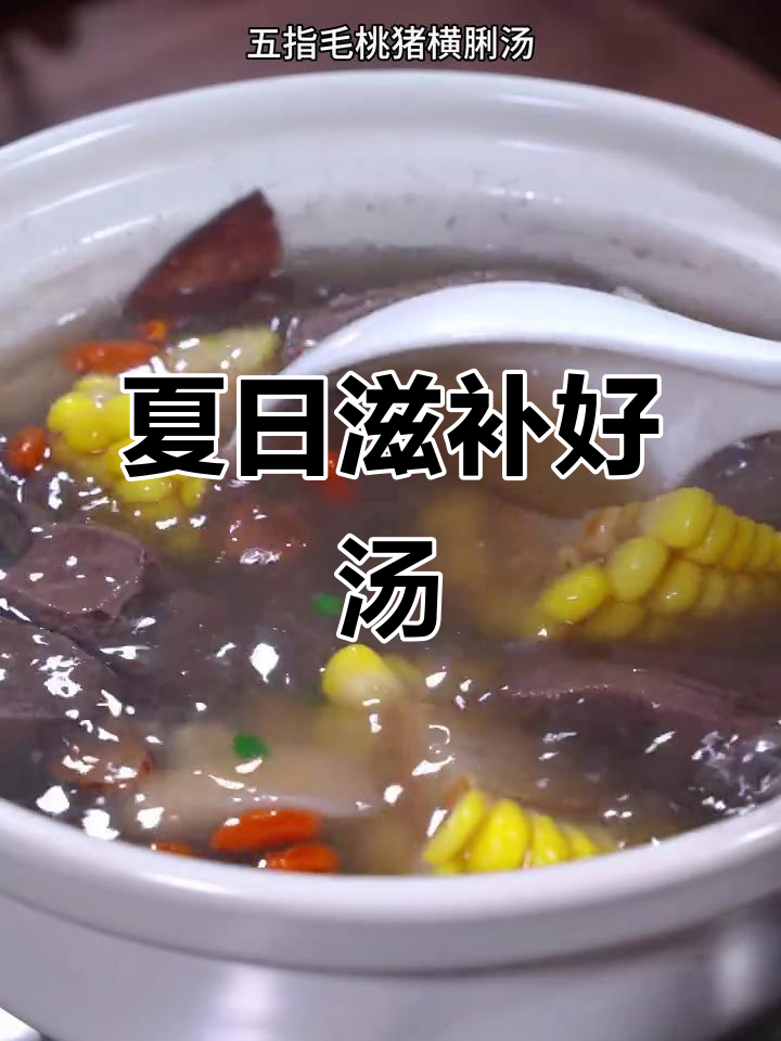 三伏天，给家人煮碗猪横脷汤，椰香扑鼻，滋补又美味