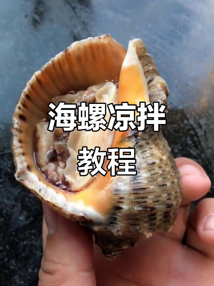 温拌海螺肉,简单又美味!教你做下酒神器