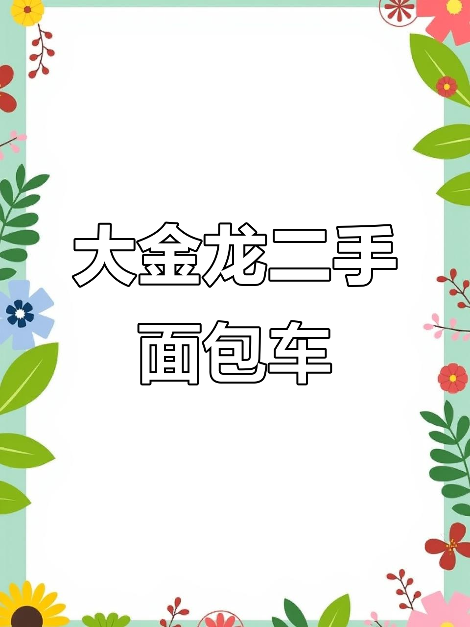 大金龙二手面包车