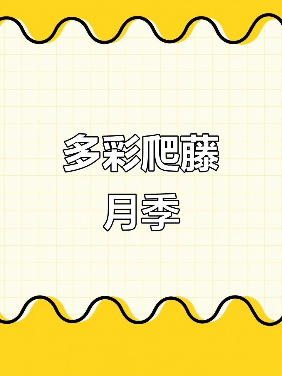 印象派多色花墙,露天栽植抗病性强