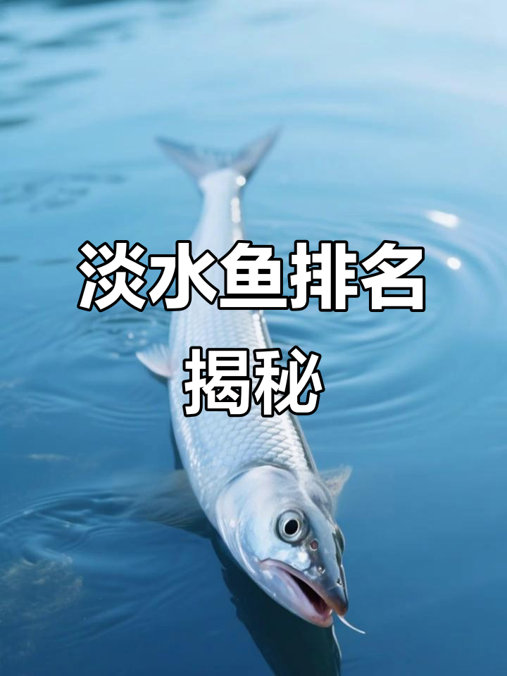 长三角淡水鱼排名，最后两种需谨慎品尝！