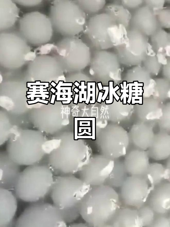 洮南赛海湖的罕见冰糖圆,美得让人惊艳!