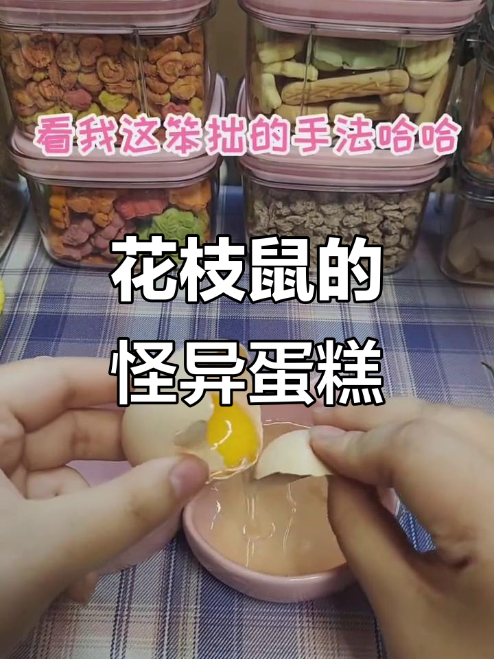 失败鸡蛋糕制作,花枝鼠的奇葩零食体验