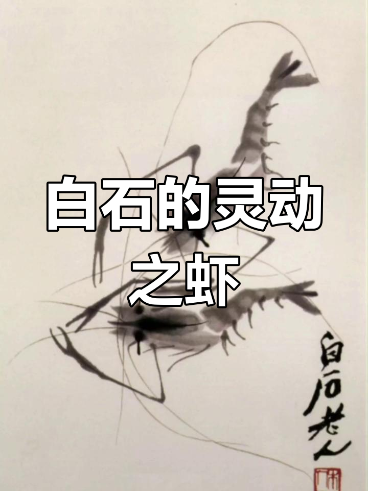 齐白石虾画的艺术魅力