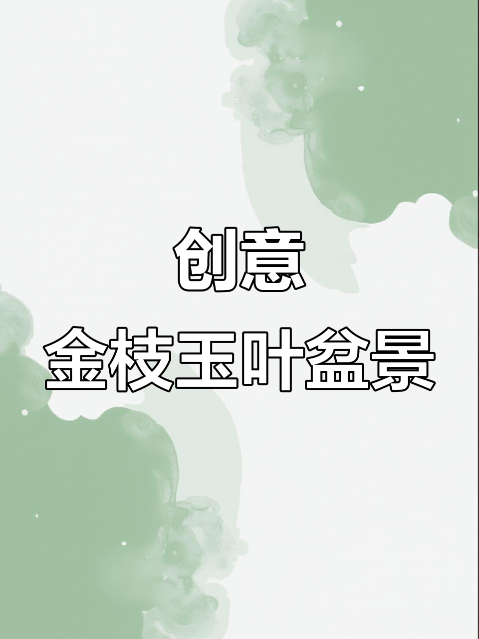 金枝玉叶盆景造型全攻略,打造独特植物景观