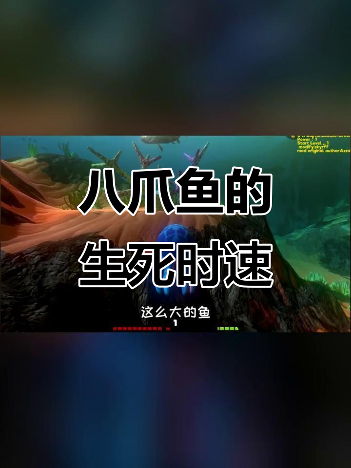 小八爪鱼挑战海底巨兽，大王乌贼现身惊险逃生