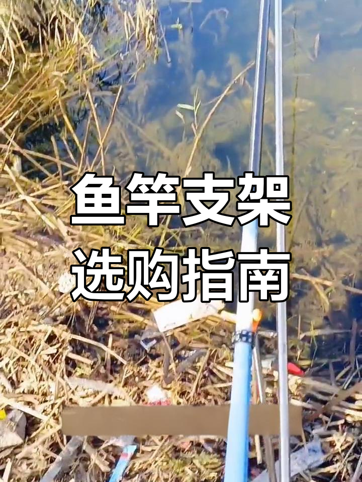 如何选择适合鱼竿的支架长度