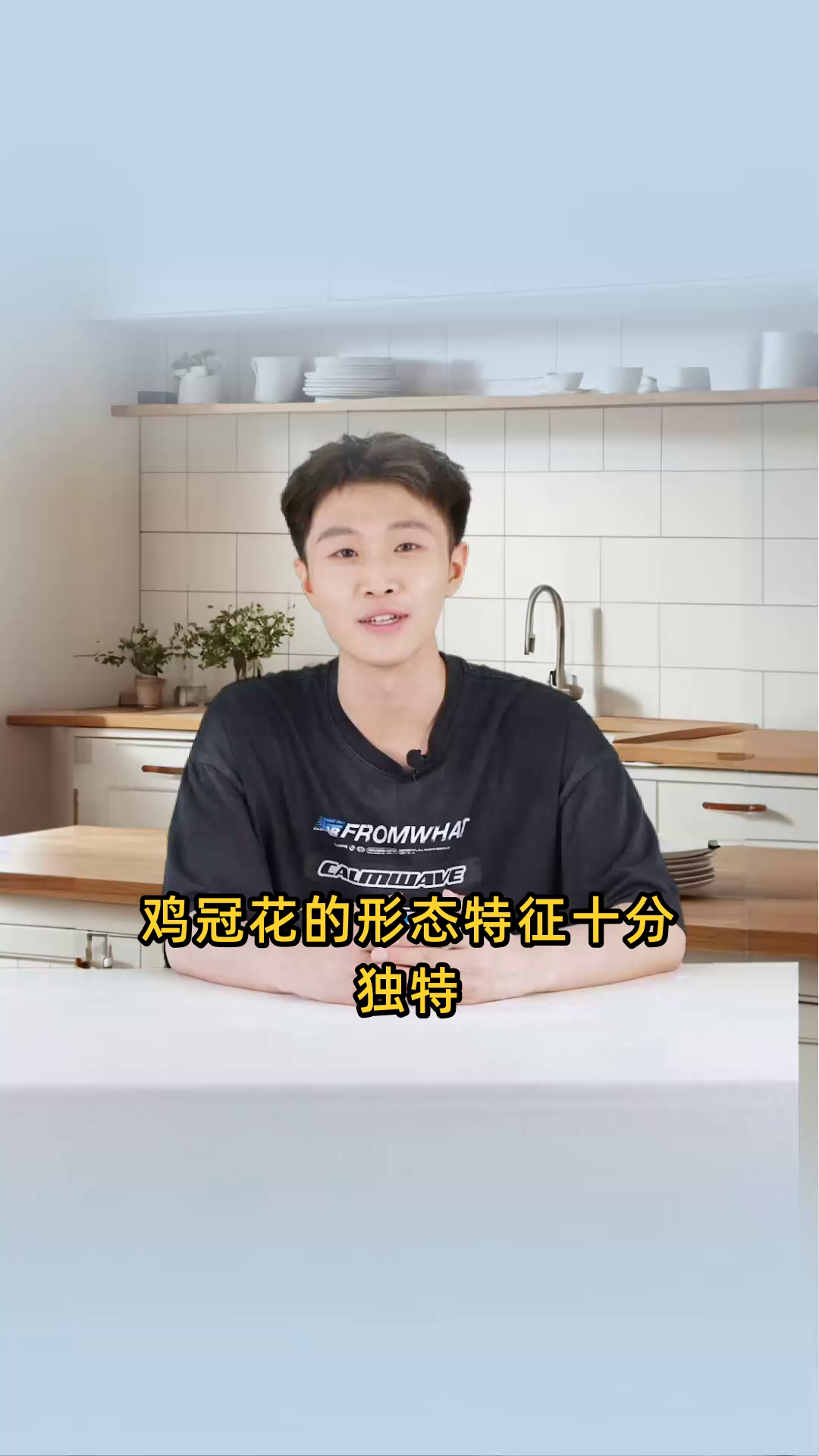 鸡冠子花的形态特征是什么?如何种植和养护鸡冠子花?