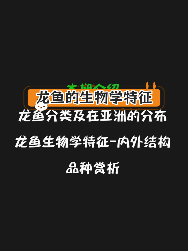 龙鱼分布与解剖结构解析