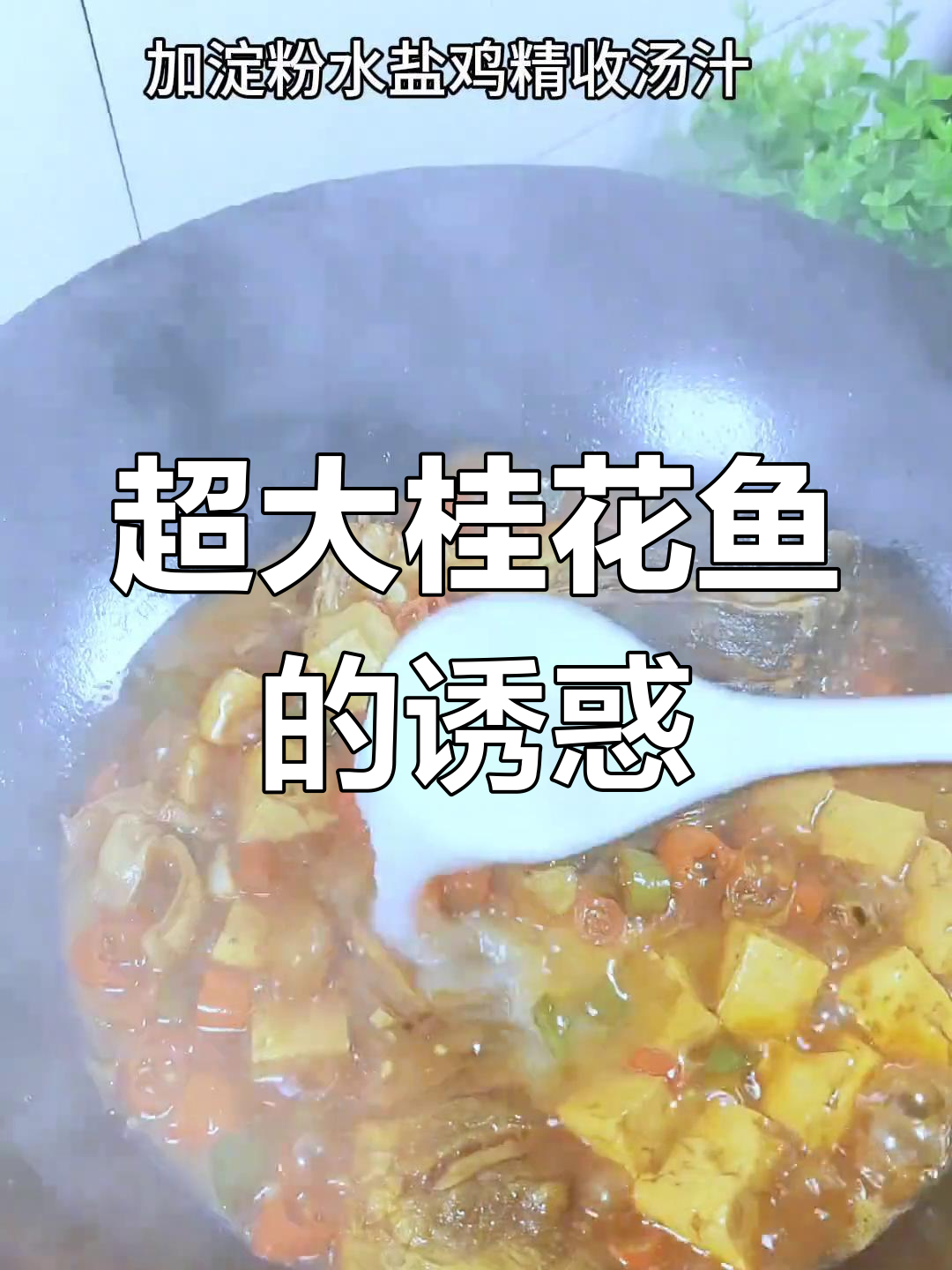 野生桂花鱼超大,锅都装不下!做法超简单又美味